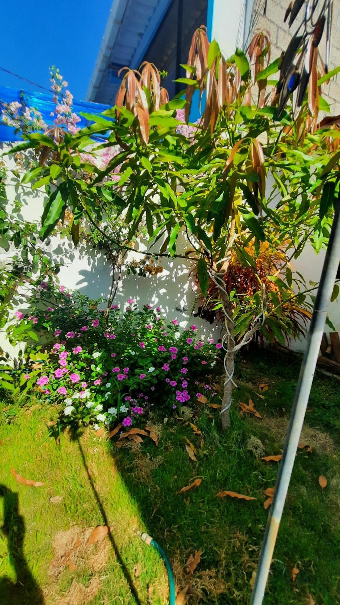 Alma De Cedrela Apartment Пуерто Айора Екстериор снимка
