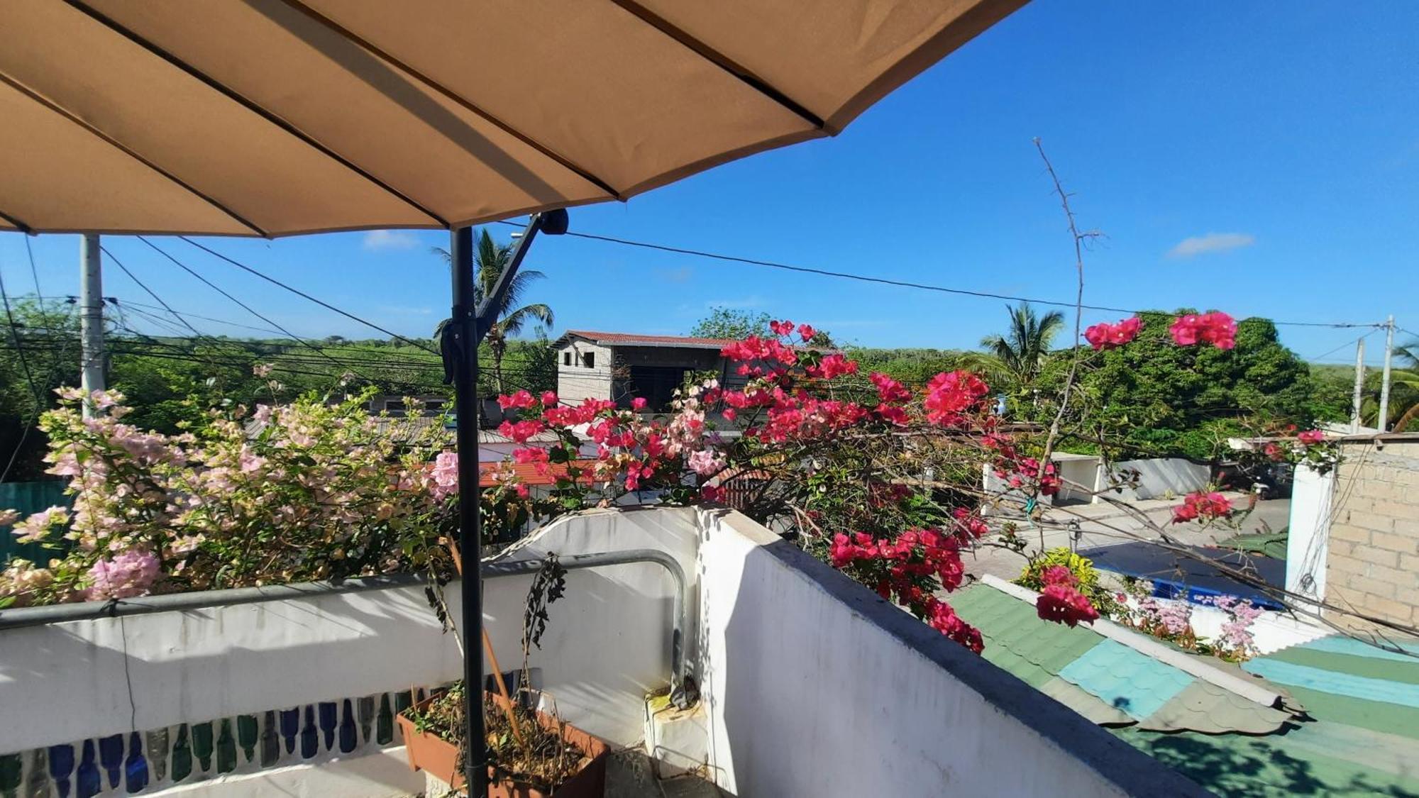 Alma De Cedrela Apartment Пуерто Айора Екстериор снимка